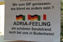 Fastnacht 2011 (1)