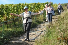 Herbstwanderung 2011 (4)