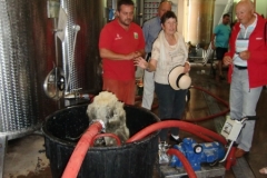 Reisfest 2011 (3)