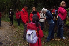 Herbstwanderung Boppard 2012 (11)