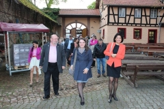 Partnerschaftsfest Budenheim 2013 (15)