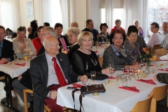 DIF Neujahrsemfang 2014 (25)
