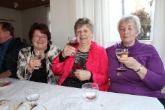 DIF Neujahrsemfang 2014 (31)