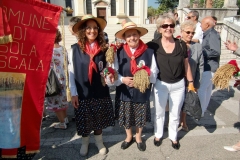 Reisfest Isola 2014 (3)