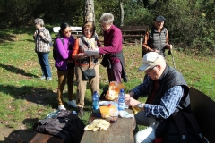 DIF Herbstwanderung Herrstein (20)
