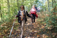 DIF Herbstwanderung Herrstein (24)