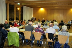 DIF Mitgliederversammlung 2015 (11)
