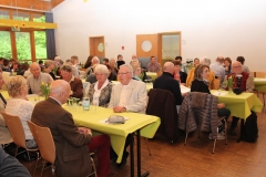 DIF Partnerschaftsfest 2015 (12)