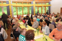 DIF Partnerschaftsfest 2015 (13)