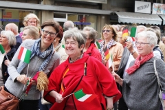 Reisfest in Isola della Scala 2015 (14)