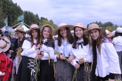 Reisfest in Isola della Scala 2015 (17)