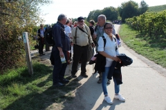DIF Herbstwanderung (111)