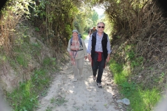 DIF Herbstwanderung (36)