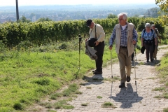 DIF Herbstwanderung (42)