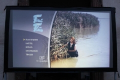 DIF Filmabend 2016 (13)