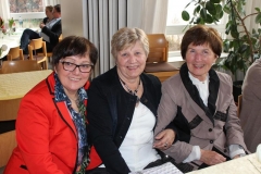DIF Bilder 2016 (Bildergalerie) (12)
