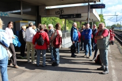 DIF Herbstwanderung Oberwesel 2016 (1)