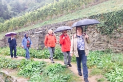 DIF Herbstwanderung Oberwesel 2016 (68)