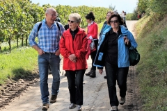 DIF Herbstwanderung 2107 (37)