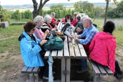 DIF Herbstwanderung 2107 (42)