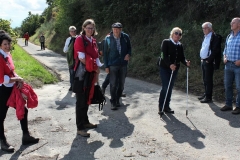 DIF Herbstwanderung 2017 (39)