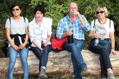 DIF Herbstwanderung 2018 Hochheim (15)