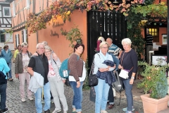 DIF Herbstwanderung 2018 Hochheim (47) - Kopie
