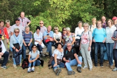 DIF Herbstwanderung 2018 Hochheim (26)