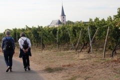 DIF Herbstwanderung 2018 Hochheim (30)