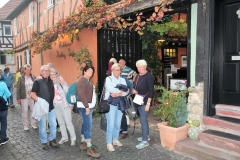 DIF Herbstwanderung 2018 Hochheim (47)
