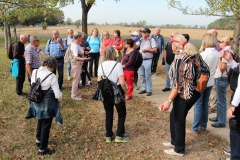 DIF Herbstwanderung 2018 Hochheim (5)