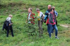 Herbstwanderung Bacharach