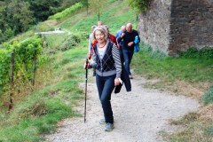 Herbstwanderung Bacharach