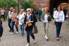DIF-Partnerschaftsfest-2023-in-Budenheim-22-