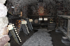 Partnerschaftsfest-2024-Isola-della-Scala-13