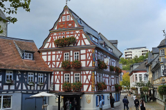 Dif- Vereinswanderung 45