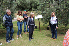 Isola-2026-41
