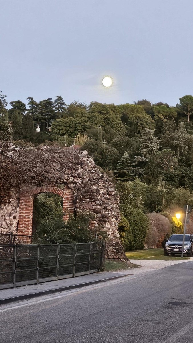 Reisfest-in-Isola-2026-4-