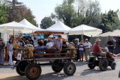 Reisfest in Isola (11)