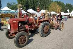 Reisfest in Isola (15)