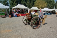 Reisfest in Isola (18)