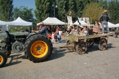 Reisfest in Isola (19)