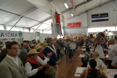 Reisfest in Isola (21)