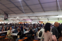 Reisfest in Isola (25)