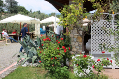 Isola-2026-23
