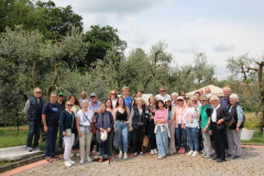 Isola-2026-26