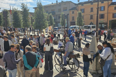 Reisfest-17